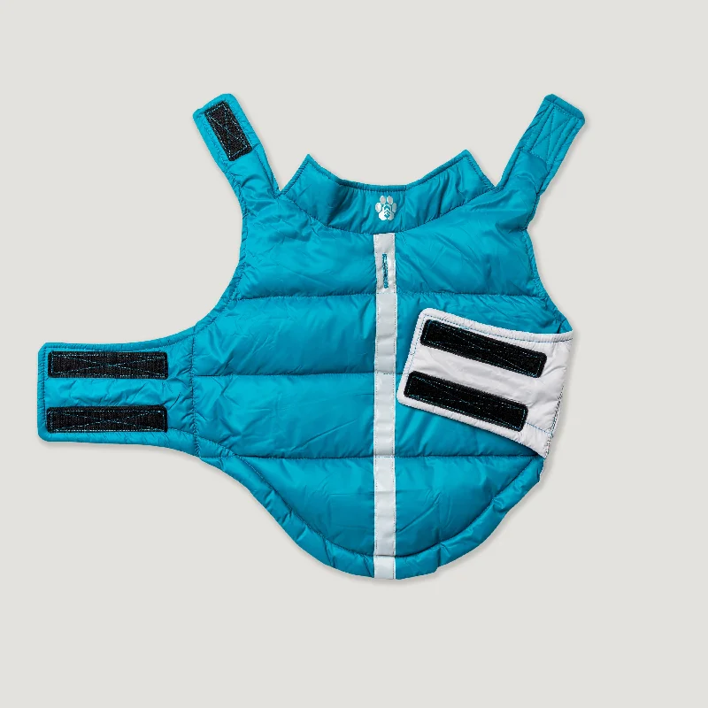 Teal/Silver
