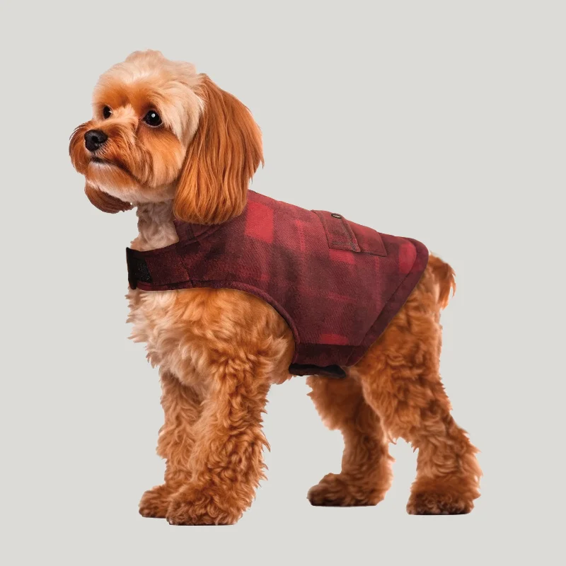 Chill Out Fleece Sherpa Lined Dog Jacket Denim Jacket Leather Jacket Suede Jacket