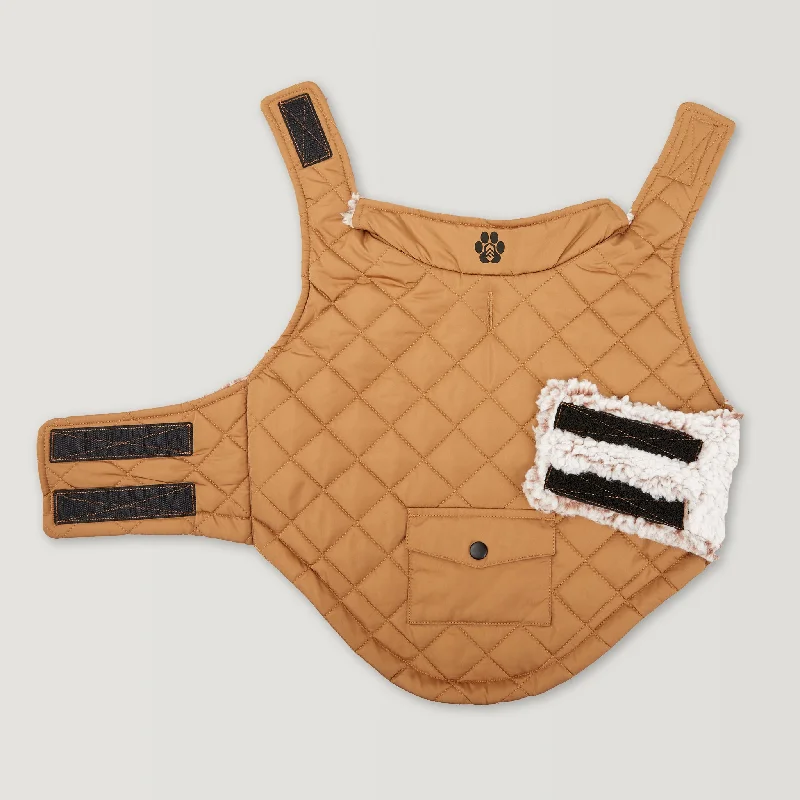 Camel