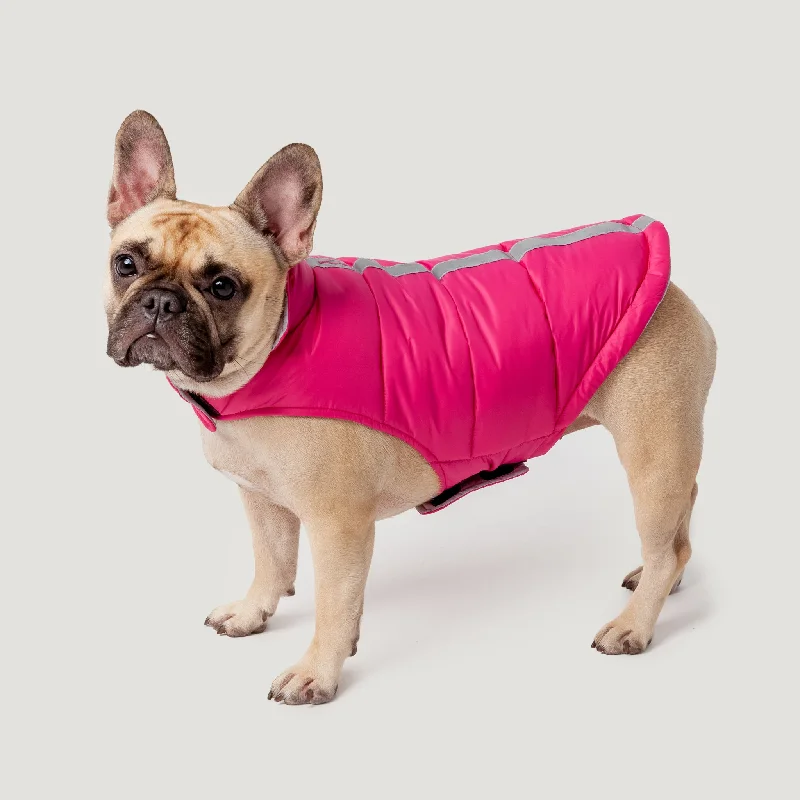 Dog Down Reversible Mock Jacket Knit Jacket Woven Jacket Fleece Jacket
